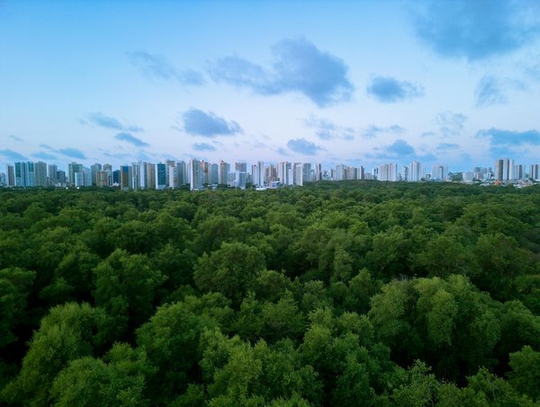Recette du bonheur : des plats savoureux à réaliser chez vous