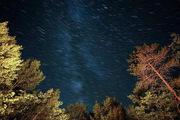 Quels sont les meilleurs exemples de réutilisation créative des friches industrielles?